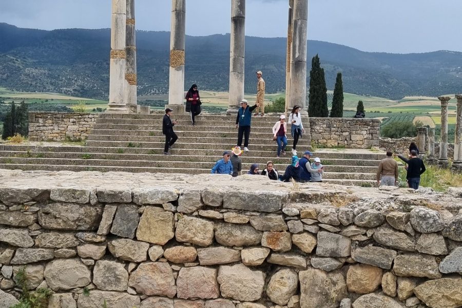 Day Tour Fes  Volubilis-Meknès